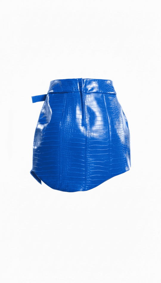 Missing Feeling Skirt